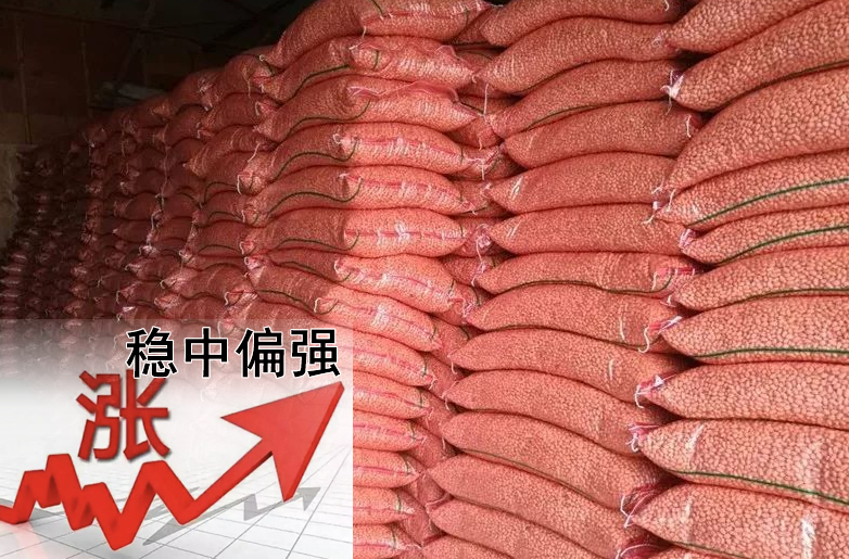 花生價(jià)格持續(xù)偏強(qiáng)，需要訂貨的請(qǐng)?zhí)崆鞍才?></a></div>
                        <div   id=